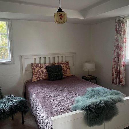 Rosenlund Gods - Kaelder B&B Sakskobing ภายนอก รูปภาพ